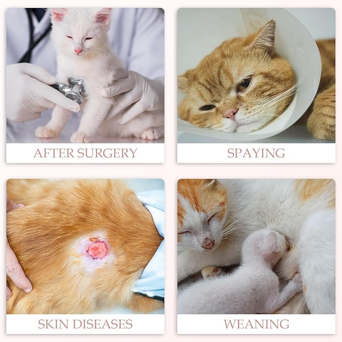 ANWA Cat Recovery Suit, Breathable Cat Onesie After Surgery, Kitten Surgery Recovery Suit, Female Abdominal Wounds