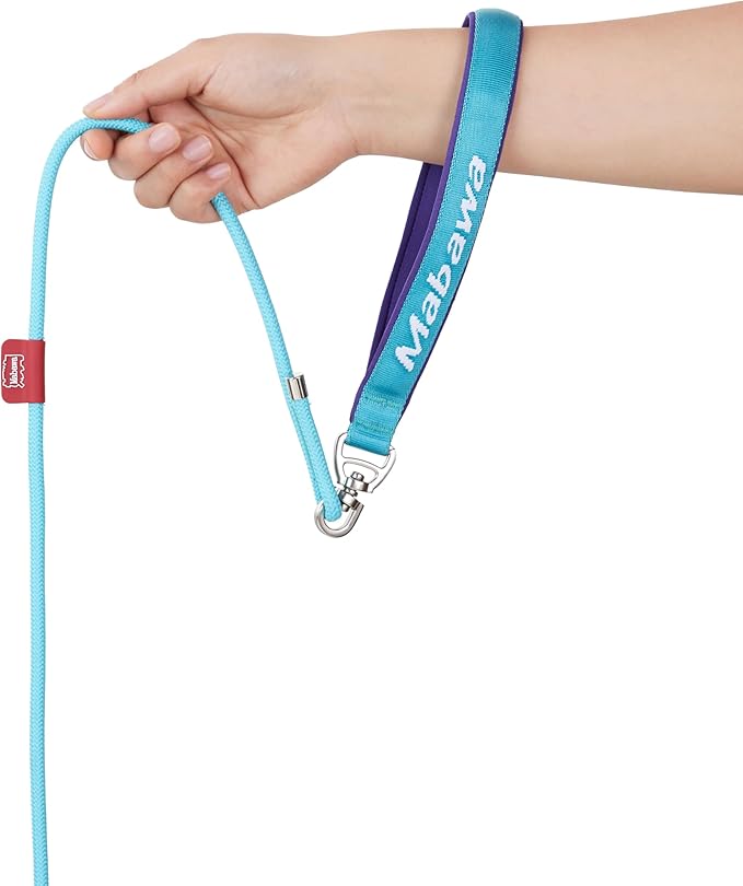 Dog Anti-Slip Leash 5FT with Metal Stopper - Durable No-Pull Training Lead for Small, Medium & Large Dogs - Comfortable Handle Nylon Rope, Tangle-Free Pet Walking Leash (Lake Blue, 5.6FT)