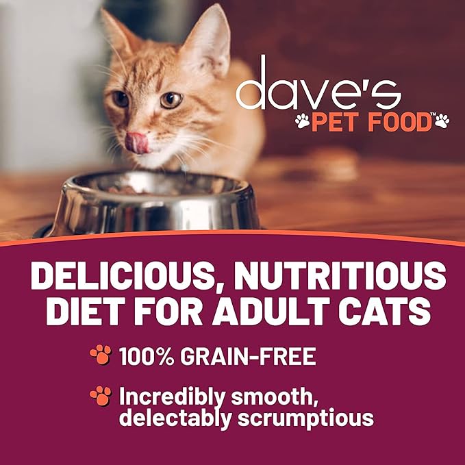 Dave's Pet Food Grain Free Wet Cat Food (Chicken & Turkey Saucey Pate), Naturally Healthy Canned Cat Food, Added Vitamins & Minerals, Wheat Free, 5.5 oz (24 Pack)