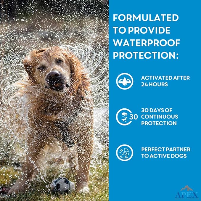 Apex Plus Flea and Tick Prevention for Dogs | Medium (23-44 lbs) | 6-Month Supply | Dog Flea and Tick Treatment | 24-Hour Activation, Waterproof, 30-Day Protection