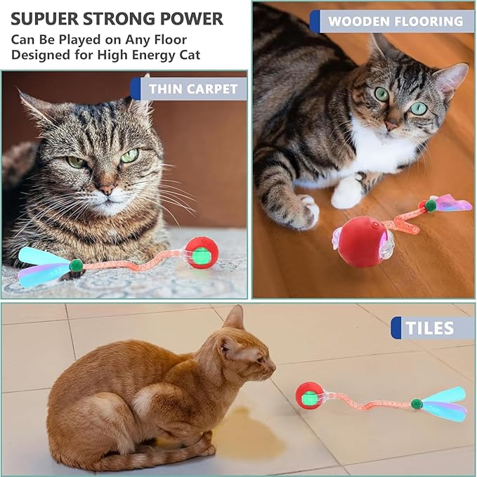 Speed 2.0 Tail Interactive Cat Toys for Indoor Cats, Chirping & Motion Activate Ca t Toy, Smart Kitten Rolling Ball Moving Ball Toys, Rechargeable Dog Cat Bal l for Enrichment Exercise (Red)