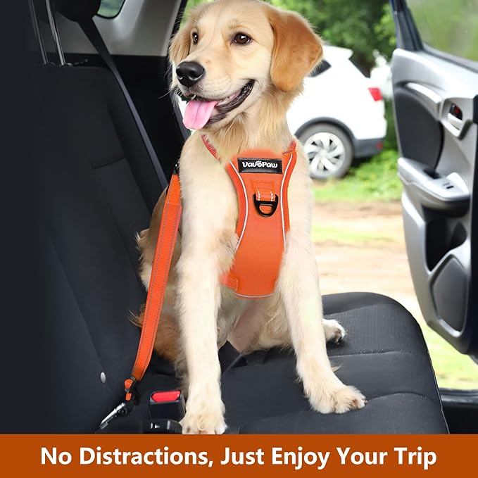 Dog Seat Belt Harness for Car, Dog Car Harness Adjustable Mesh Breathable & Dogs Seatbelt Safety Tether with Elastic Bungee for Small Medium Large Pets(Orange, XL)