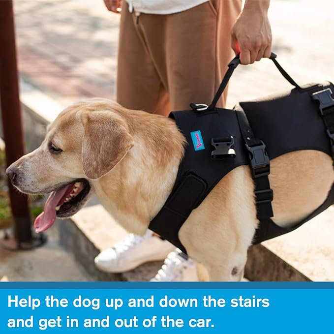 Dog Lift Harness, Rehabilitation Lifts Vest for Dogs, Support & Recovery Sling, Adjustable Breathable Lifting Straps for Old, Joint Injuries, Arthritis, Paralysis Dogs Walk (L, Black)