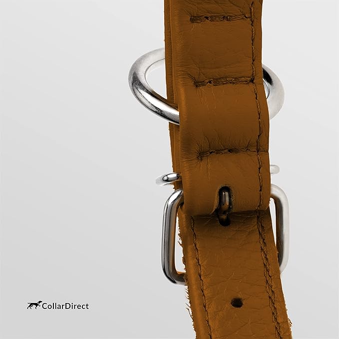 CollarDirect Rolled Leather Dog Collar, Soft Padded Round Puppy Collar, Handmade Genuine Leather Collar Dog Small Large Cat Collars 13 Colors (13-16 Inch, Cinnamon Textured)