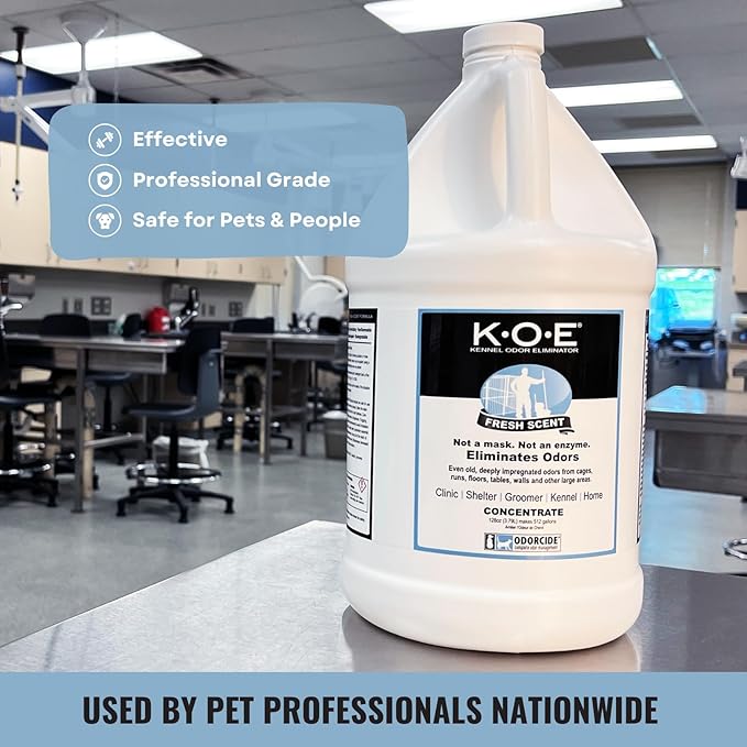 K.O.E. Fresh Scent Odor Eliminator Concentrate for Kennels, Cages, Floors & More - Non-Enzymatic Pet Odor Solution for Home & Dog Kennel - Home & Pet Supplies (1 Gal)