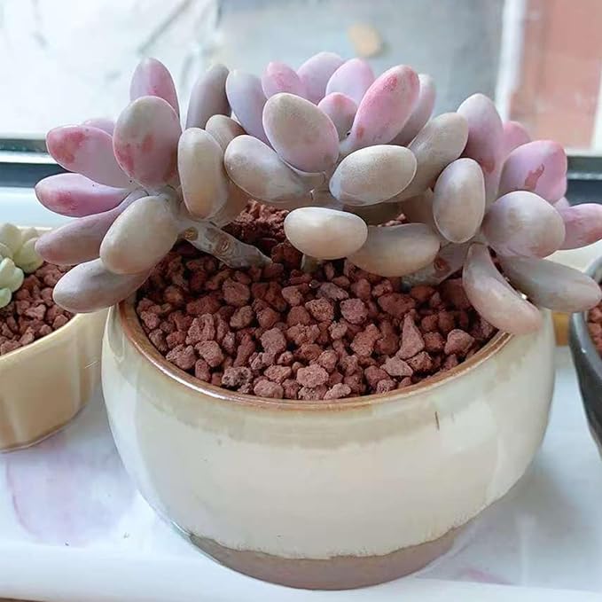 5 lbs Red Lava Rocks for Plants,1/4 Inch Crush Volcanic Rock Gravel Potting Mix for Succulent Cactus Bonsai Aquarium Fire Pits and Garden Landscaping