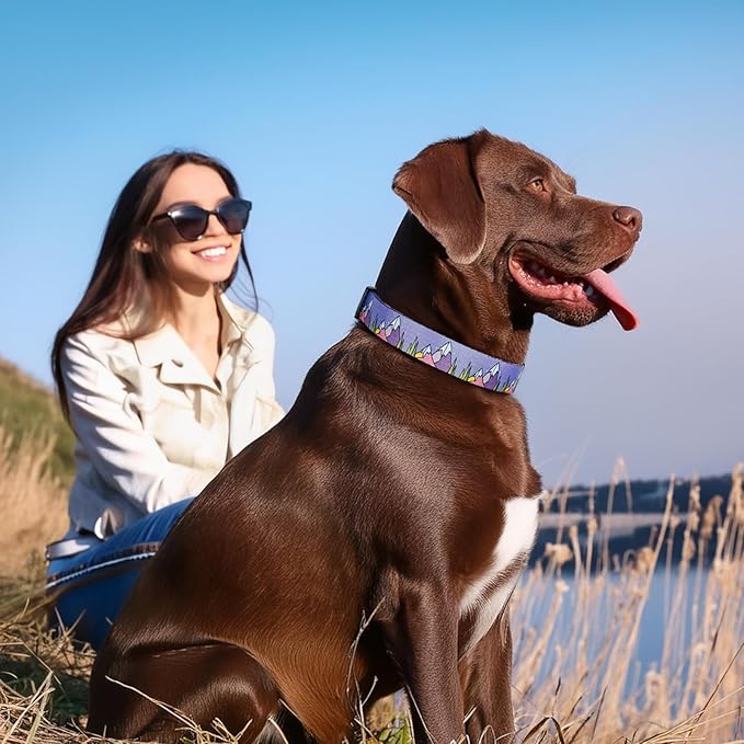HEELE Dog Collar, Adjustable Soft Dog Collar for Small Medium Large Dogs,Floral Patterned Puppy Collars with Quick Release Buckle L Length 15.94''-25.59'