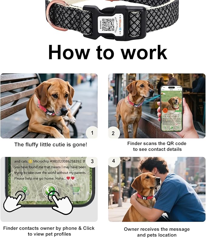 Dog Collar with Waterproof AirTag Holder & Anti-Lost QR Code, Cute Bling Warpping Adjustable Width for Small Medium Large Pet (Black, L)
