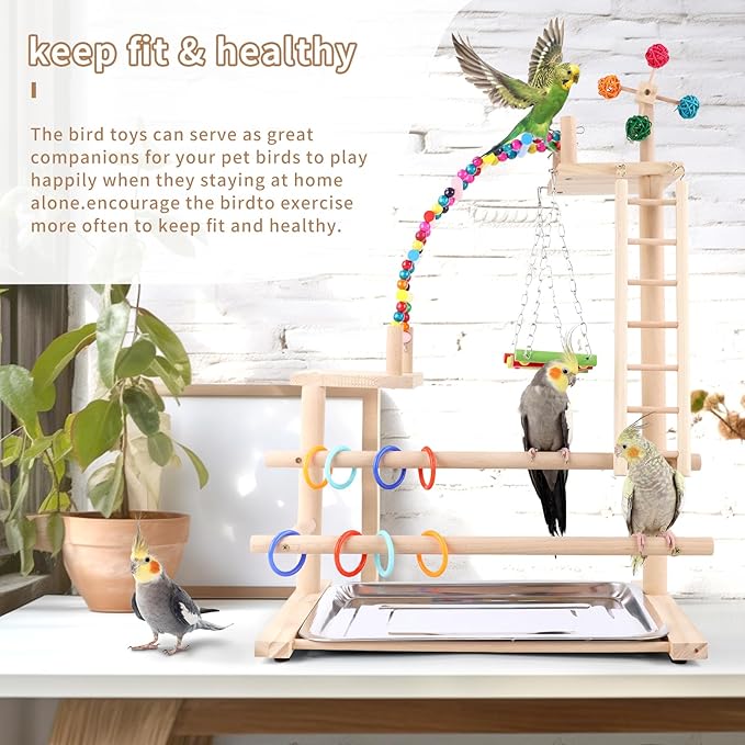 Bird Playground, Perch Stand Parrot Playstand Play Gym with 2 Perches Stand Windmill Toys, Playpen for Parakeet Conure Cockatiel Lovebird Budgie Caique, Exercise Playgym with feeding Cups