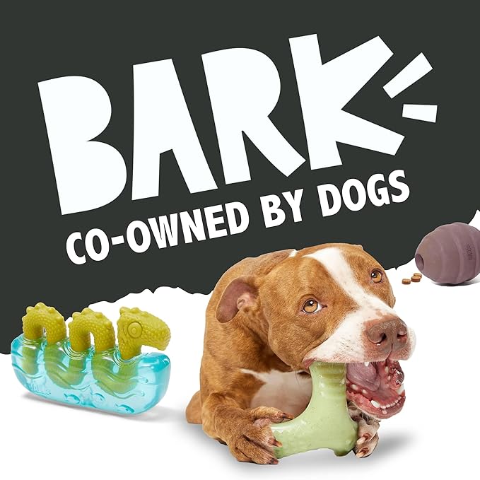 Barkbox Cheeze Brawl Super Chewer Plush Toy with Hard Core Center, Large