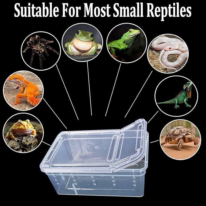 Critter Keeper 2-Pack, Cricket Cage & Reptile Feeding Box 12.59"x8.66"x5.9" Transparent Portable Plastic Snake Habitat Escape-Proof Ventilated Design for Gecko, Tarantula, Scorpion, Spider, Frog