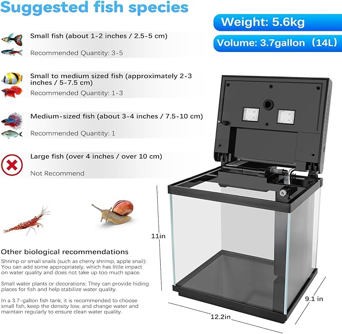 AQQA 3.7 Gallon Aquarium Starter Kit Small Glass Fish Tank with Filter and Light (10 Colors Adjustable) Desktop Self-Cleaning Betta Fish Tank Kit Office & Home Decor Idea (Black)