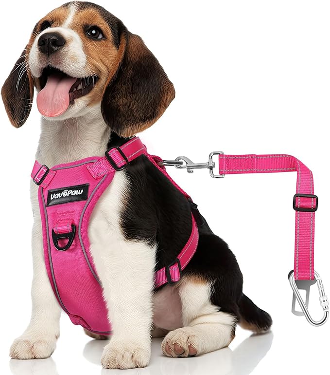 Dog Seat Belt Harness for Car, Dog Car Harness Adjustable Mesh Breathable & Dog Seatbelt Safety Tether with Elastic Bungee for Small Medium Large Pets(Rose, M)