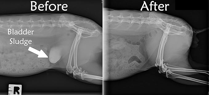 Urinary Support by Sherwood Pet Health (100 Tablets - 60 Grams)