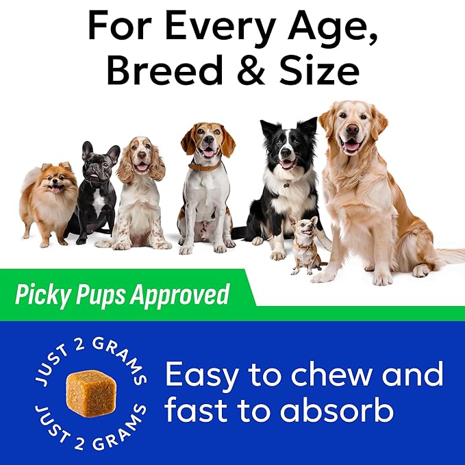 BARK&SPARK Green Grass Chews - Pee Grass Spot Saver Caused by Dog Urine - Urine Neutralizer for Lawn, Gut Health Probiotics & Digestive Enzymes,Lawn Burn from Dog Urine, Grass Burn Spot Chews (240Ct)