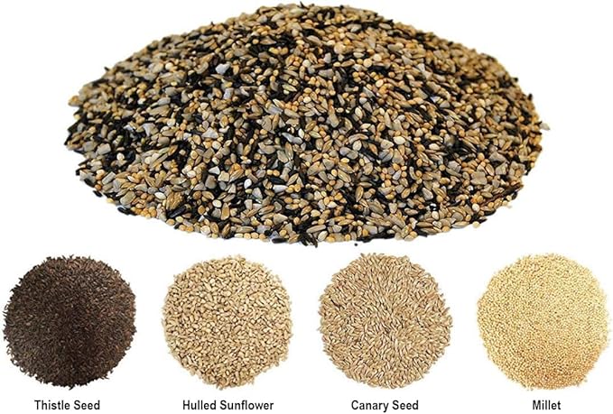 CountryMax Backyard Seeds Finch & Small Songbird Frenzy Wild Bird Seed Mix – 5 lb Bag | Premium Blend with Nyjer, Millet, Sunflower Chips | Attracts Goldfinches, House Finches, Chickadees