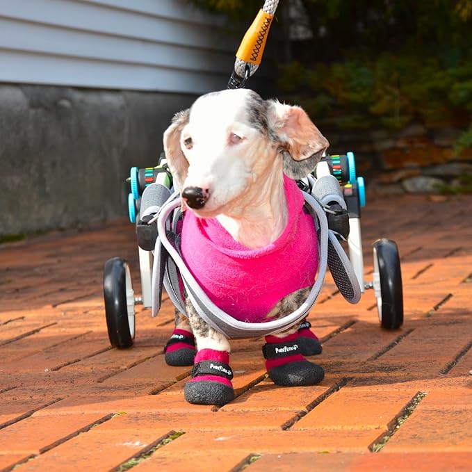 Double Dipped Thick Textured Waterproof Cotton Dog Socks | PawFlex Comfy Pawz Soft Indoor/Outdoor Pet Booties | Non-Slip Silicone Grip at Inner Wrist for No Twisting or Sliding Off| Adjustable Strap