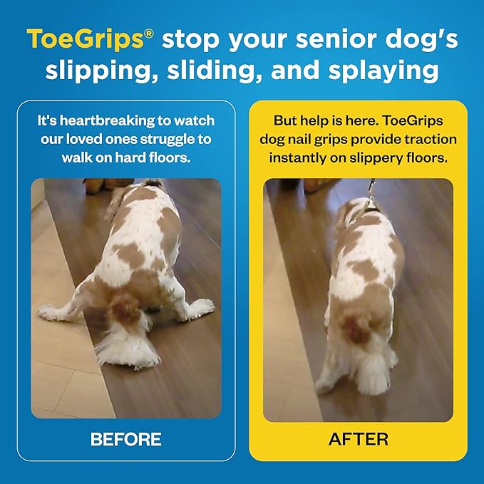 Dr Buzby's XXXLarge ToeGrips for Dogs - Instant Traction on Wood/Hardwood Floors - Anti Slip Relief - Grippers for Senior Dogs - Stop Sliding Instantly - Rubber Nails for Paws - 1 Pack (20 Grips)