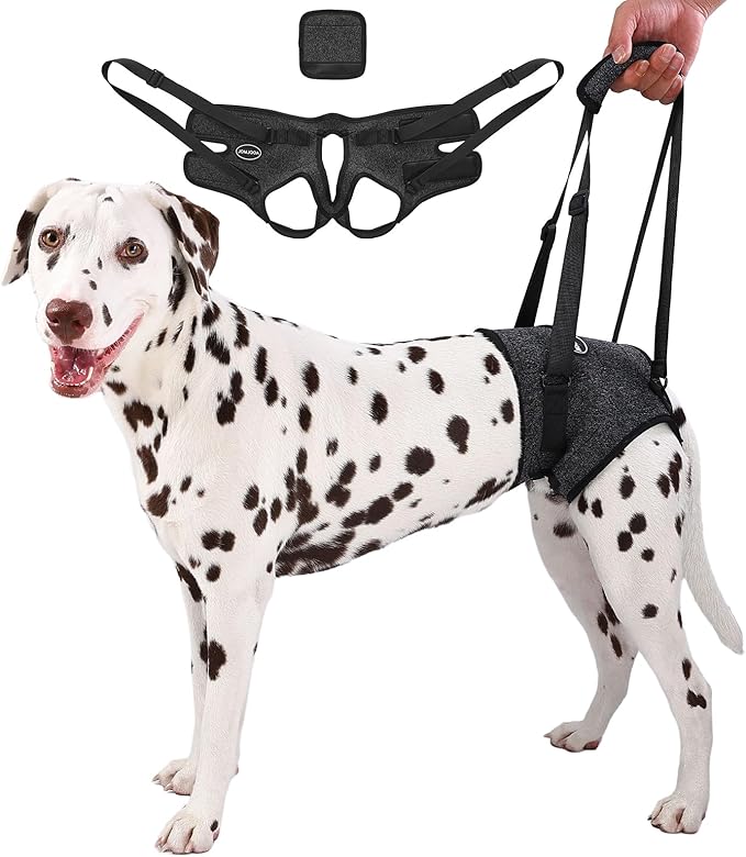 Dog Sling for Medium Large Dog Rear Leg, Lift Harness Provide Support with Muscle Atrophy and Joint Problems for Elderly Injured Arthritic Pet, Dog Weak Rear Legs Provides Rehabilitation Aid