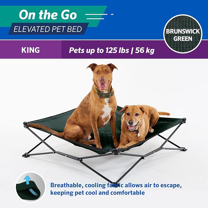 Coolaroo On-The-Go Elevated Dog Bed - Foldable Pop-Up Travel Dog Bed with Breathable, Moisture-Resistant Fabric, Carry Bag Included, Lightweight & Portable, Brunswick Green, Extra Large