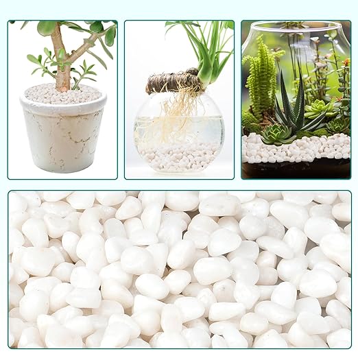 5 lbs Small White Rocks for Planters, 3/8" White Pebbles for Vases, Decorative Small Stones for Plants, Succulents, Bamboo, Terrarium, Landscape, Garden