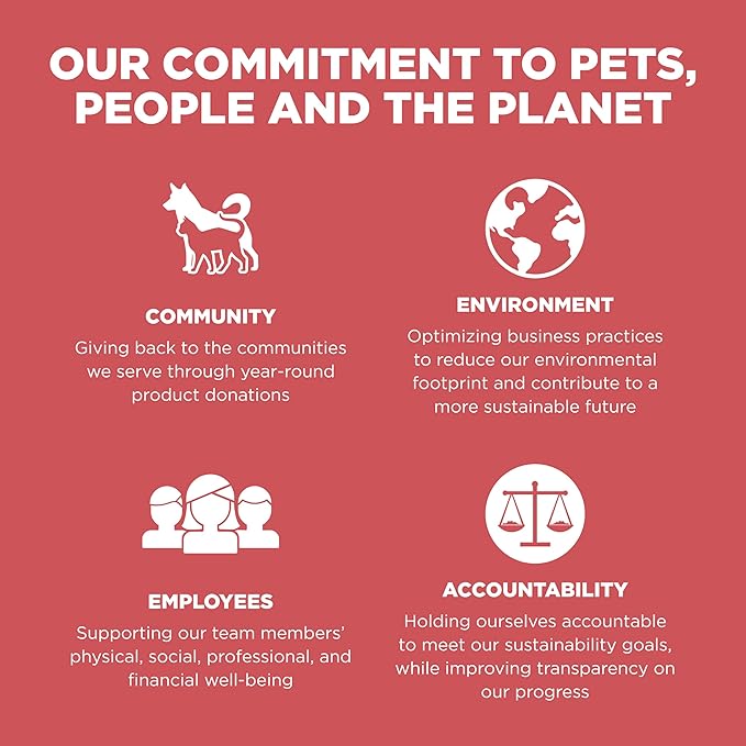 Go! Solutions Sensitivities Limited Ingredient, Grain-Free Dry Cat Food, Salmon Recipe for Sensitive Stomach, 12 lb Bag