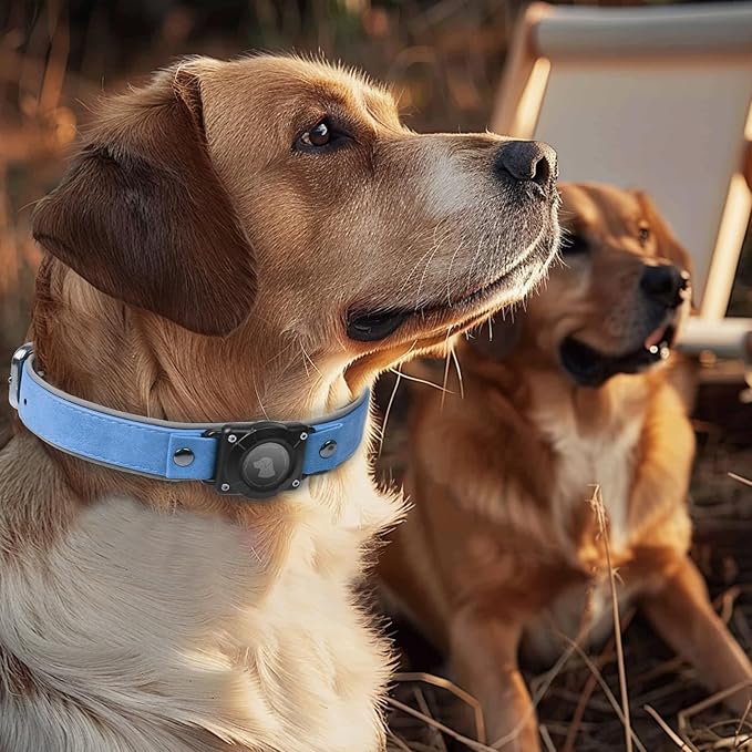 AirTag Dog Collar - Leather Dog Collar with Air Tag Holder | IPX8 Waterproof, Reflective, High - End, Adjustable Soft Padded | Dog GPS Tracker Collars Fit for Medium Large Dogs (Blue, M)