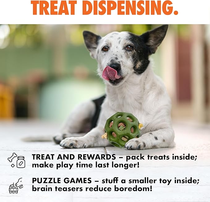 Max Fusion with Nike Grind, Arlee Helix Dog Toy, Chew Toy for Play, Fetch, Tug, L