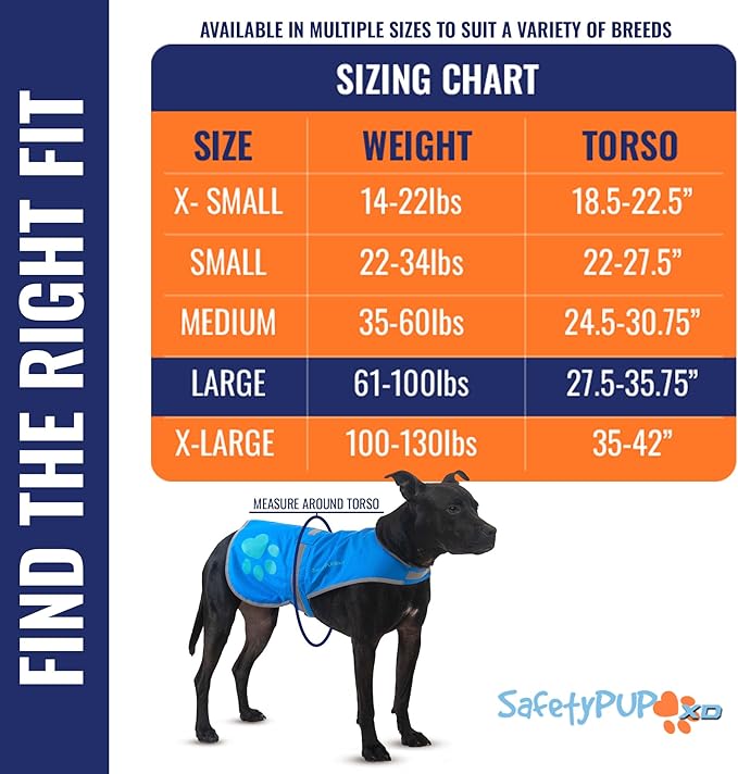 Dog Reflective Vest – Hi-Vis Fluorescent Visibility That Helps to Safeguard Your Pet On/Off Leash in Urban & Rural Areas (Blue, Large)