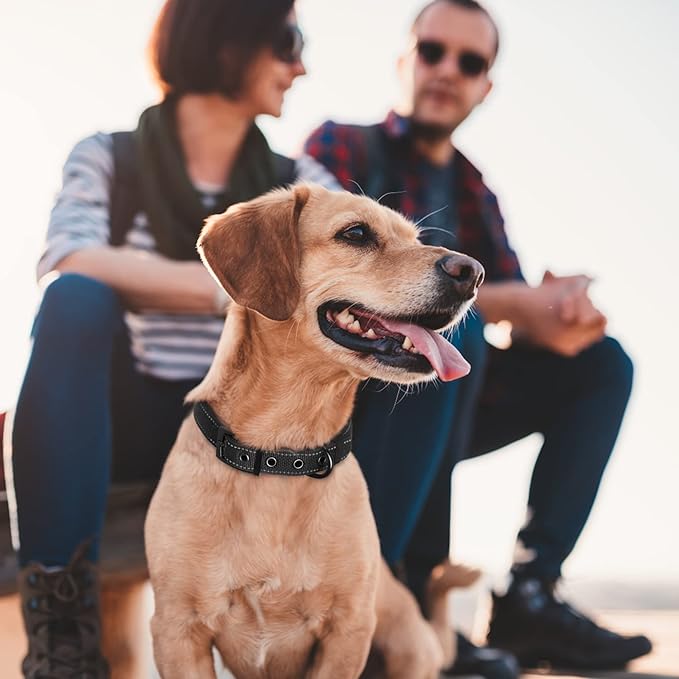 Fida Heavy Duty Dog Collar, Ultra Comfortable Soft Neoprene Padded, Adjustable Reflective Nylon Pet Collar with Durable Metal Belt Buckle for Small Breeds (S, Black)