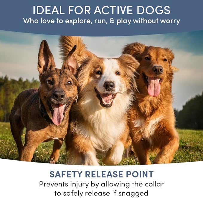 Flea and Tick Collar for Dogs, Cats – Natural Essential Oils – Long-Lasting 8 Month Protection – Waterproof, Adjustable – Safe for Puppies, Kittens, Sensitive Skin