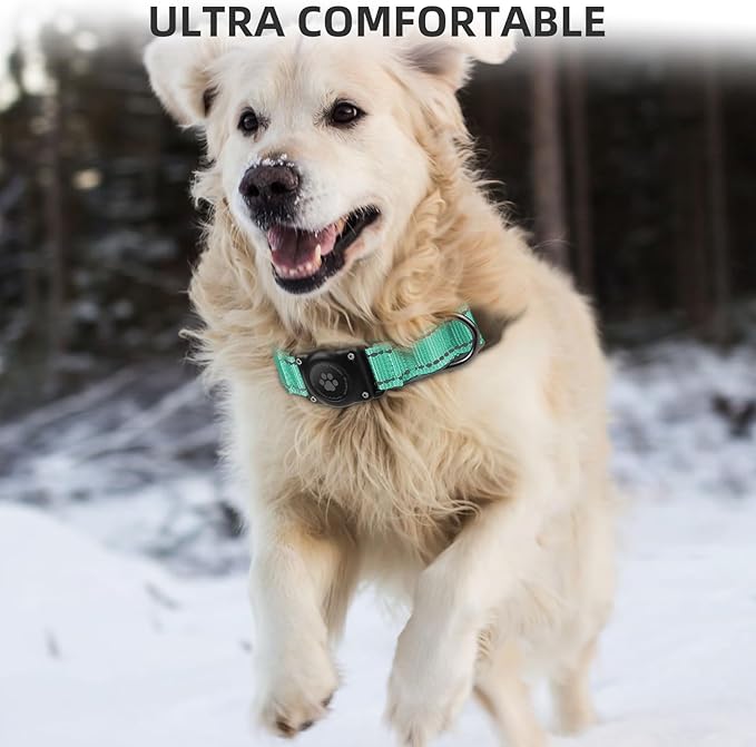 Airtag Dog Collar - 100% Waterproof Air tag Dog Collar Holder for Apple AirTag, Reflective, Soft Padded, Everlasting, GPS Dog Collar for Small Medium Large Dogs (Teal, M)