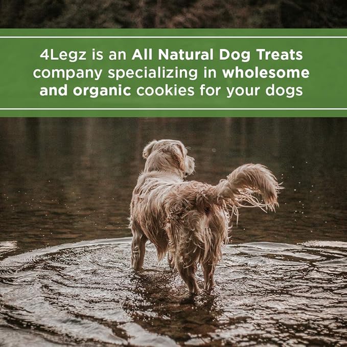 Peanut Butter & Carob Chips Dog Treats – Healthy, Crunchy, Vegan Biscuits with Whole & Real Ingredients – All Natural & USA‐Baked, 4 Pound Bag