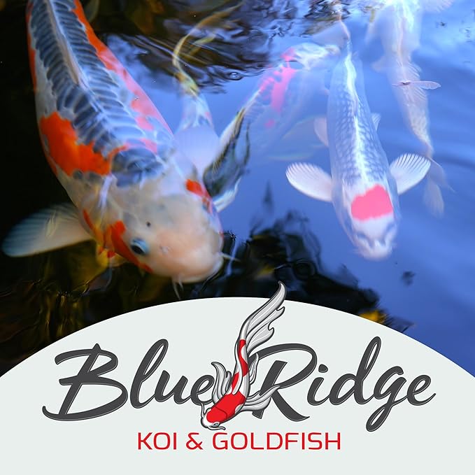 Blue Ridge Koi Fish Food 25lb - Koi Food 3/16” Large and Mini Blend Growth Formula, Goldfish Food, Premium Fish Food for Ponds, Ponds Fish Food, Floating Pond Pellets