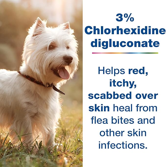 Douxo S3 Pyo Mousse, Contains 3% Chlorhexidine & 0.5% Ophytrium, Antiseptic & Hydrating, for Bacterial or Yeast Skin Infections, for Dogs, 5.1 fl. oz. (150mL)