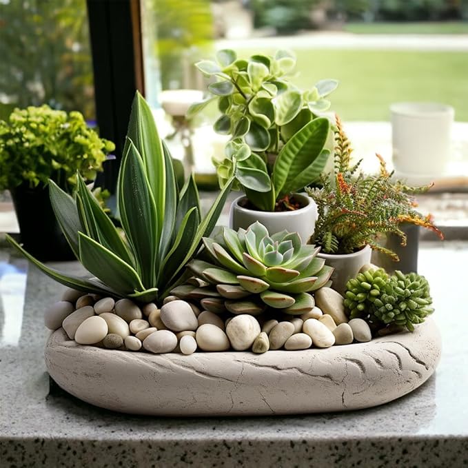 HappyFiller Natural Decorative White Pebbles Polished Rocks Stones for Aquarium Gravel,Fish Turtle Tank,Outdoor Indoor Succulents Plants Top Dressing,Graden Landscaping,10 LB