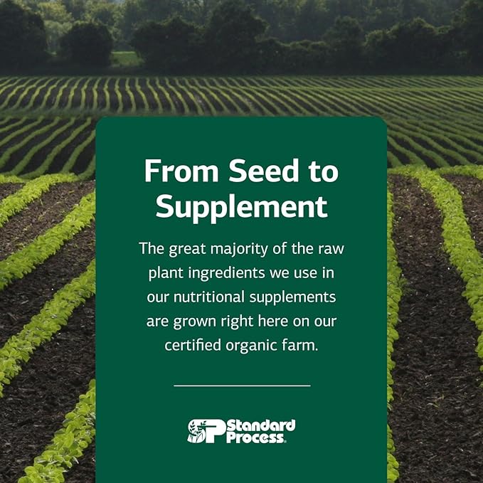 Standard Process Inc. Feline Renal Support - Cat Supplement to Support Kidney & Urinary Health, Cat Supplies with Whole-Food Based Ingredients, Feline Supplement to Aid Kidney Function - 90 Tablets