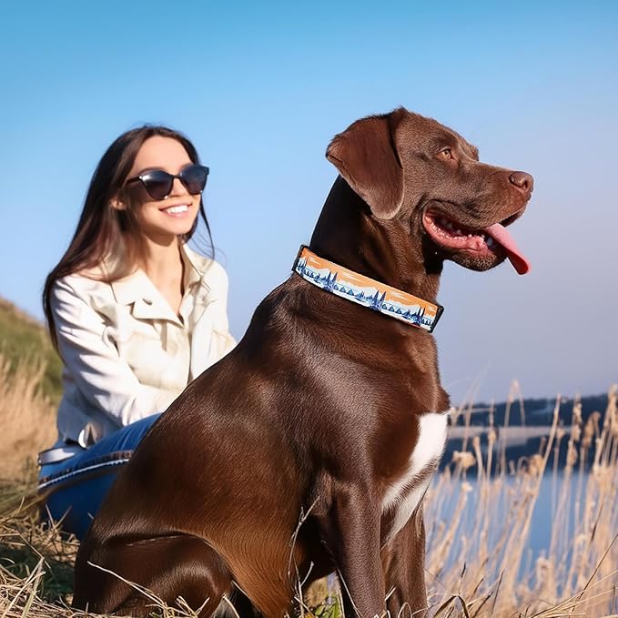 HEELE Dog Collar, Adjustable Soft Dog Collar for Small Medium Large Dogs,Floral Patterned Puppy Collars with Quick Release Buckle XS Length 8.5''-11''
