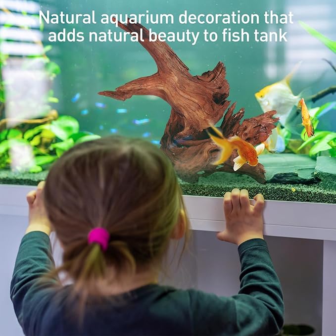 WDEFUN Natural Driftwood for Aquarium Decor, 2-Piece 10''-14'' Large Driftwood for Decorations on Fish Tank, Reptiles Bearded Dragon Accessories or Air Plants