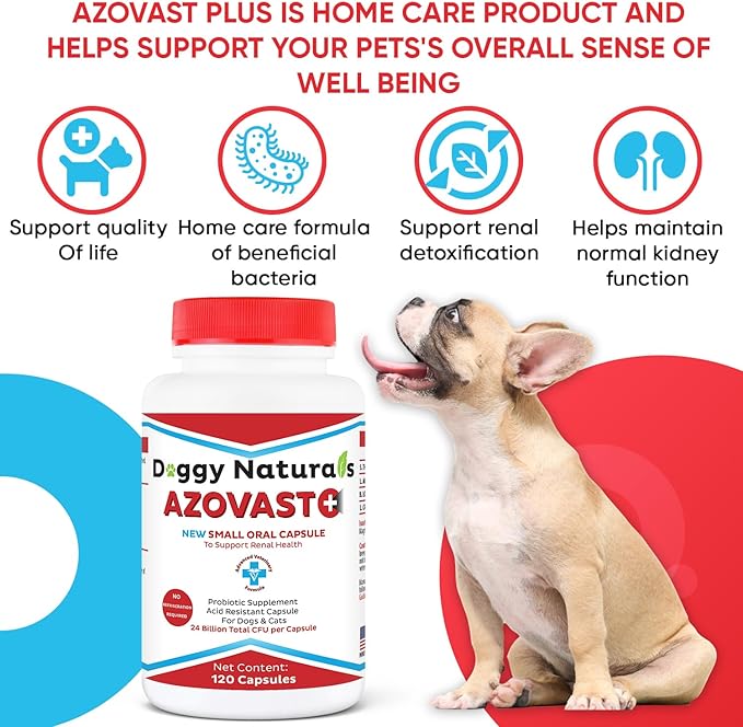 Azovast Plus Kidney Health Supplement for Dogs & Cats, 360ct - NO Refrigeration Required - Help Support Kidney Function & Manage Renal Toxins - Renal Care Supplement Capsule(U.S.A)(360 Caps)