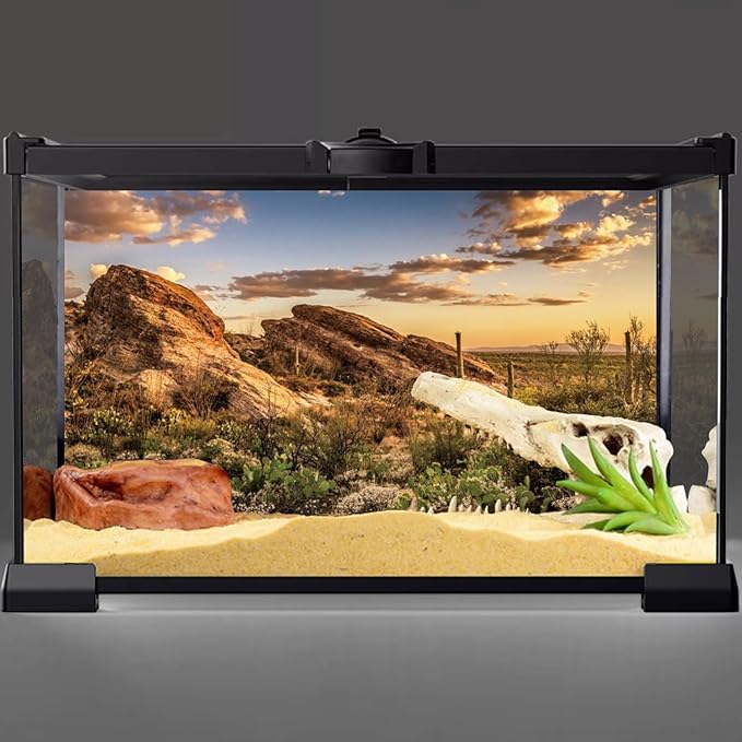 AWERT Reptile Habitat Background Blue Sky Oasis Cactus Sun and Desert Terrarium Background 30x18 inches Durable Polyester Background
