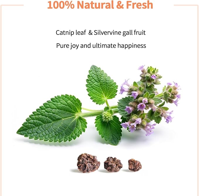 Catnip & Silvervine Powder – 15g Blend of Silver Vine Gall Fruit & Pure Catnip, Non-Addictive, Suitable for All Cat Ages, Multi-Play Use for Cat Toys, Scratchers & Protecting Furniture