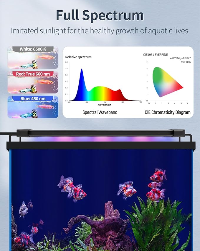 Pawfly 6 W Extendable Aquarium LED Light for 6 to10 Inch Fish Tank with Full Spectrum Brilliant White Blue Red Lights with Daytime & Night Modes and Adjustable Brightness