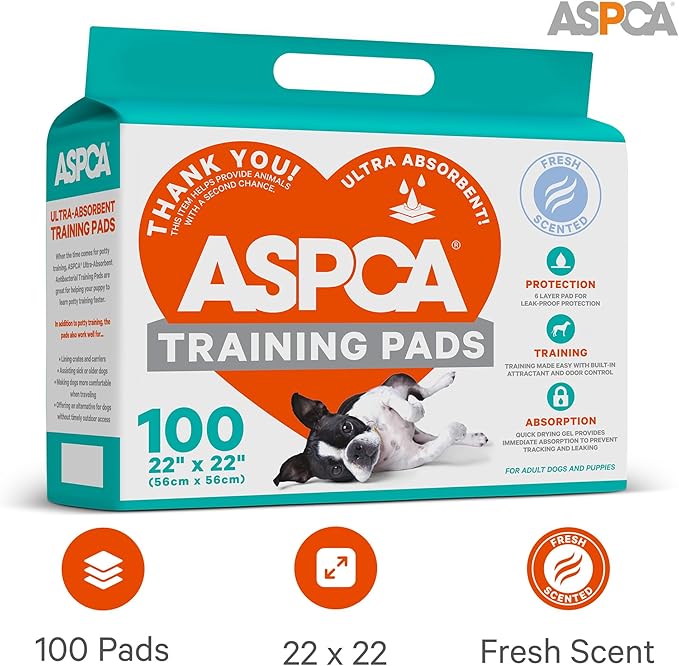 AS62930 Dog Training Pads, Pack of 100, Gray, 22" x 22" - Pack of 100