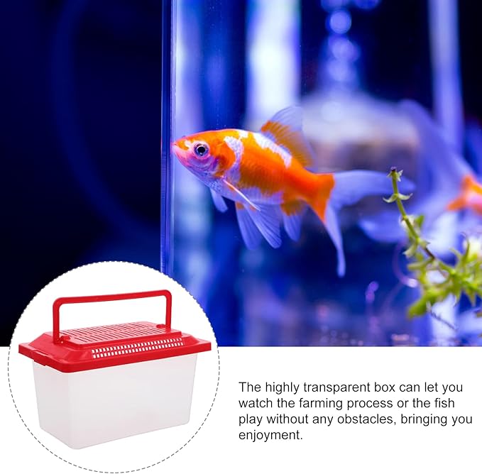 Plastic Turtle Fish Tank Critter Keeper Plastic Terrarium Portable Aquarium Tortoise Living Tank Turtle Holder Hermit Crab Cage Hamster Tank Reptile