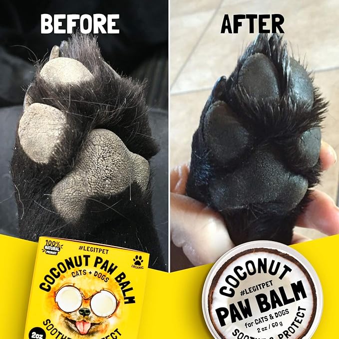 Coconut Paw Balm for Dogs by legitpet