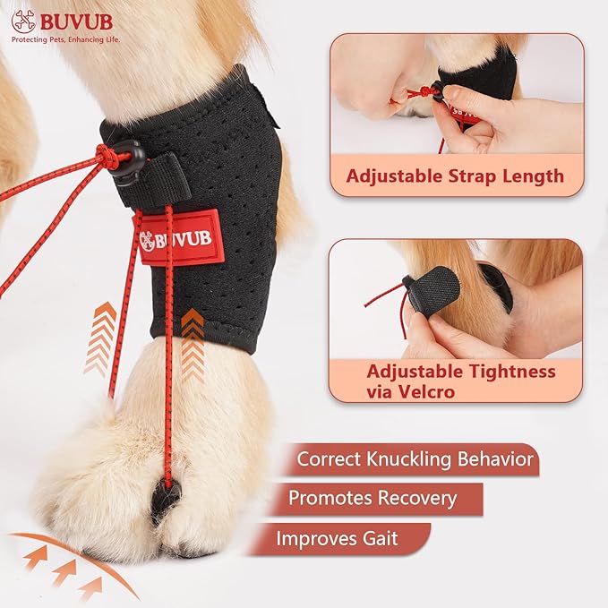 Canine Dog Knuckling Brace Rear Leg Dog Foot Brace Wrap for Toe Dragging Cause by Sciatic Nerve Insufficiency, Myelopathy, Herniated Disc (Large)