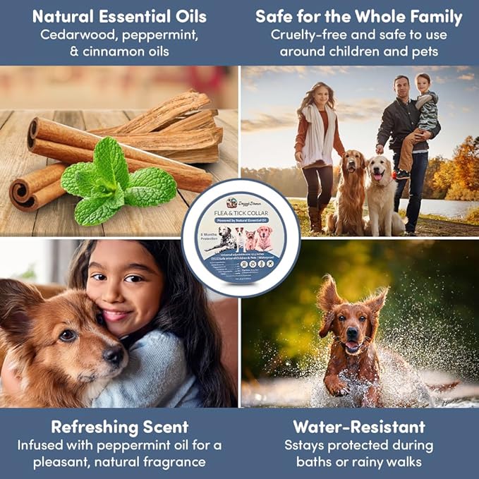 Flea and Tick Collar for Dogs, Cats – Natural Essential Oils – Long-Lasting 8 Month Protection – Waterproof, Adjustable – Safe for Puppies, Kittens, Sensitive Skin