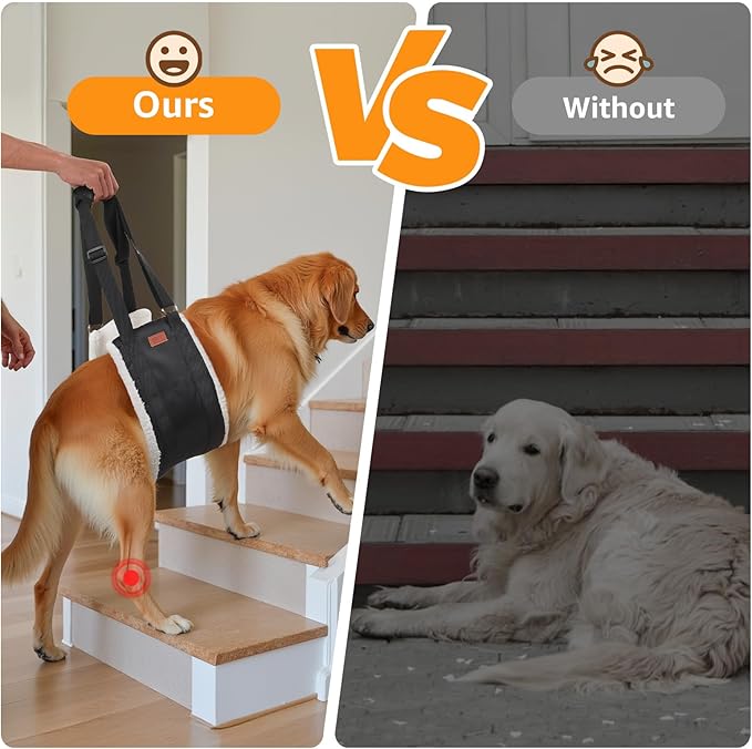 Adjustable Dog Lift Harness, Dog Sling for Large Dogs Lift Support and Rehab Harness for Weak Rear Legs, Soft Hind Leg Support Helps Senior, Injured,Disabled and After ACL Surgery Dogs(Black,X-Large)