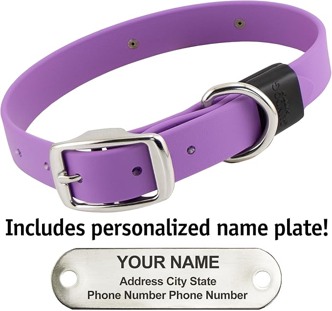 Biothane Custom Dog Collar – Waterproof, Stink-Proof Personalized Collar with Name & Phone Number – Durable, Many Sizes and Colors – Assembled in USA (Amethyst Purple)